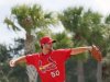 waino palm trees.jpg